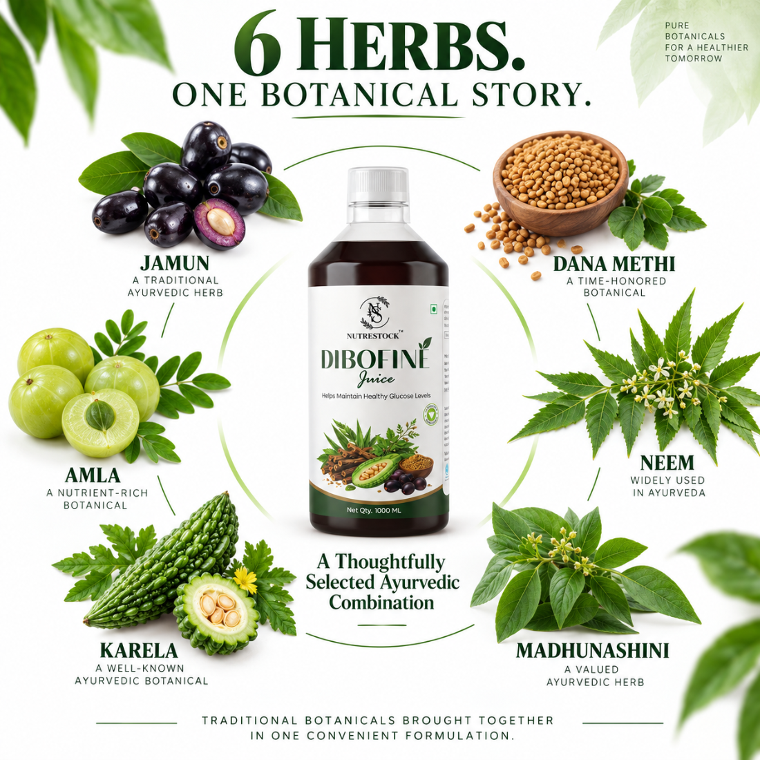 Nutrestock Dibofine – 15 Ayurvedic Herbs for Daily Glucose Wellness | Herbal Juice | 1L
