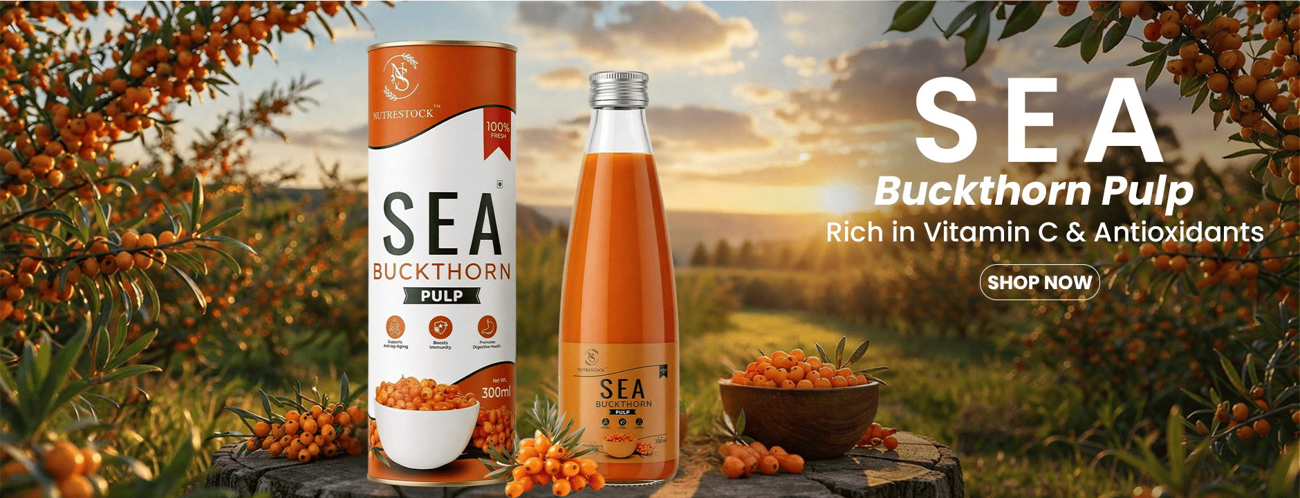 slider image slider_item_bmiFdM