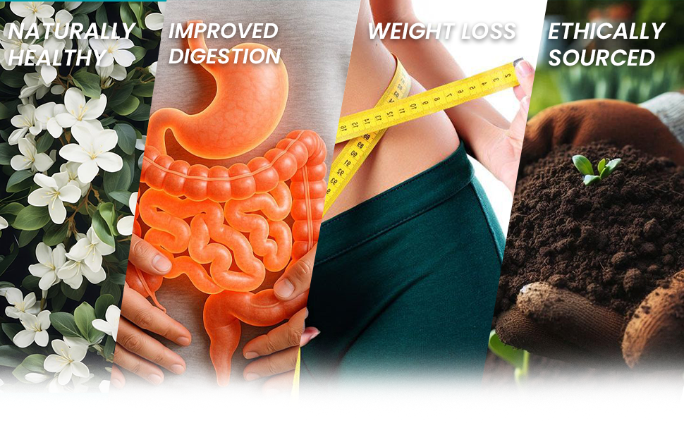 Jasmine Tea – 30g | Fragrant Floral Tea for Stress Relief